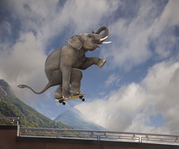 大象玩滑板图片