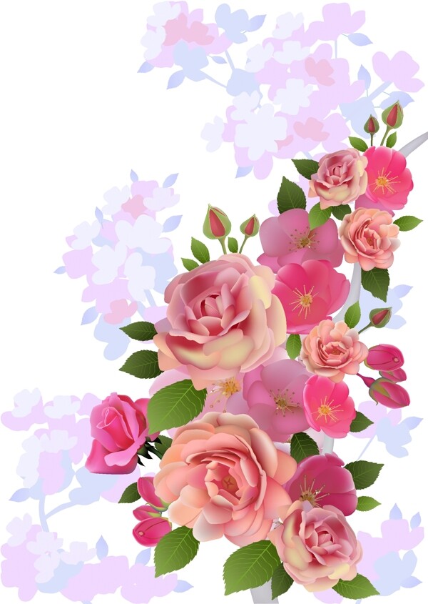 粉色玫瑰花