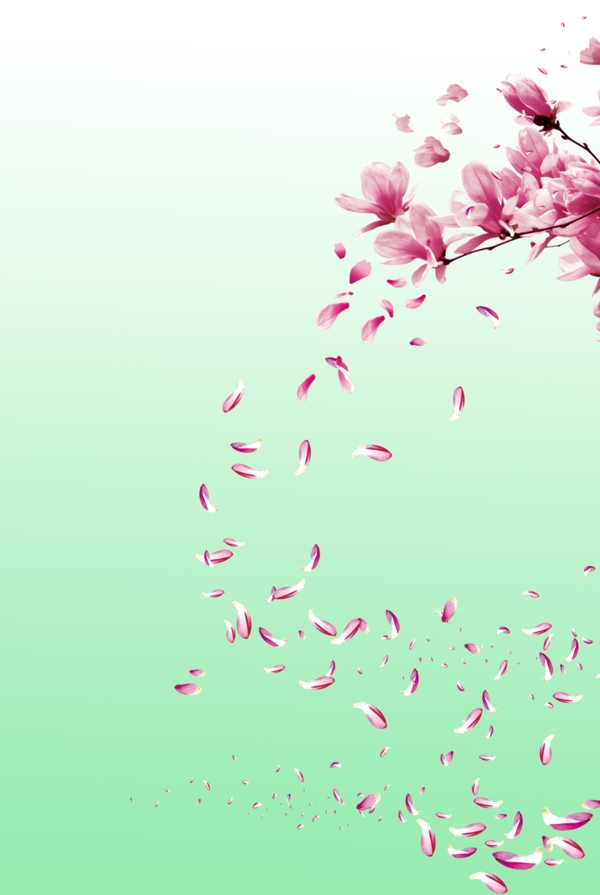 櫻花桃花背景設(shè)計(jì)