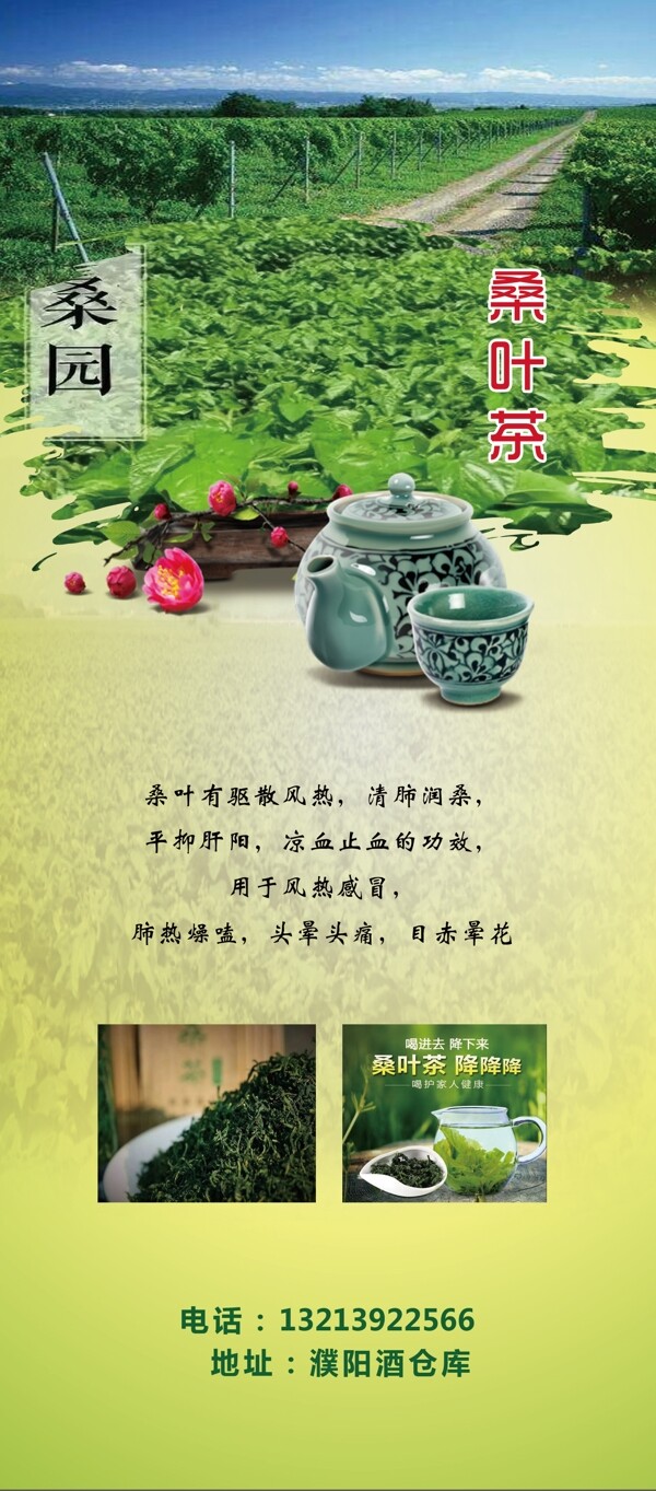 桑茶展架