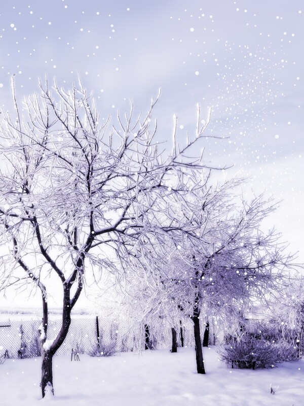清新雪花廣告背景
