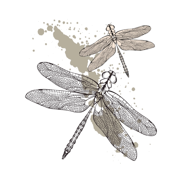 蜻蜓图案设计