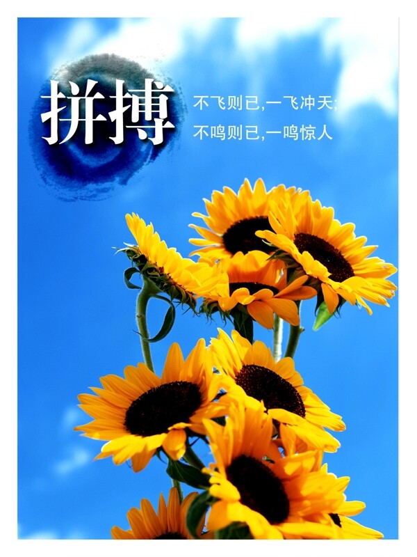 學(xué)校展板拼搏