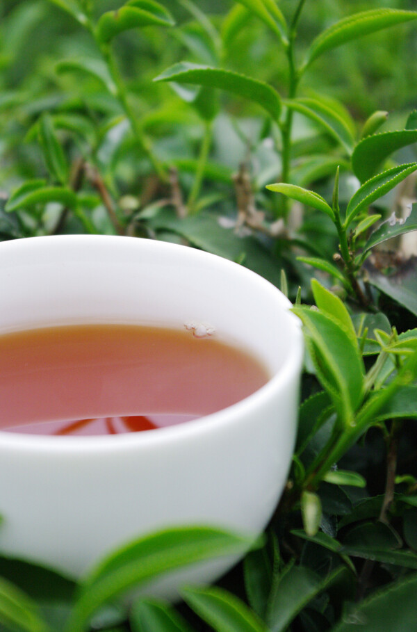 茶茶葉與茶杯茶具