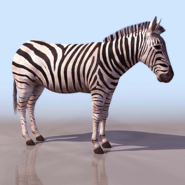 斑馬3D模型