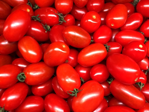 红番茄背景