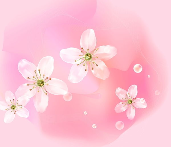 桃花圖片