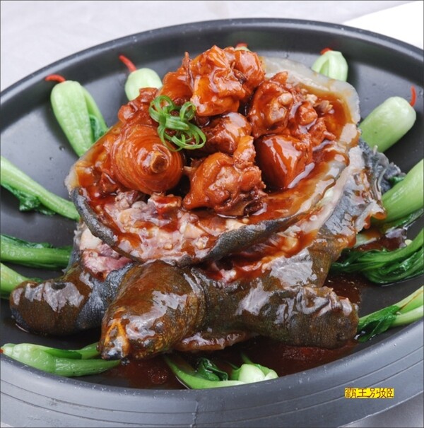 菜譜菜式畫(huà)冊(cè)設(shè)計(jì)