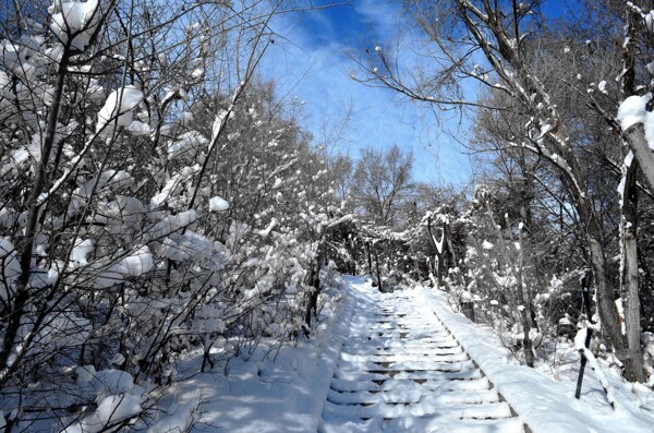 新疆紅山雪景
