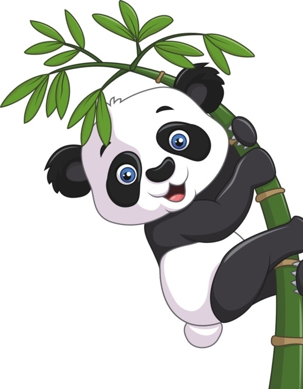 插畫熊貓