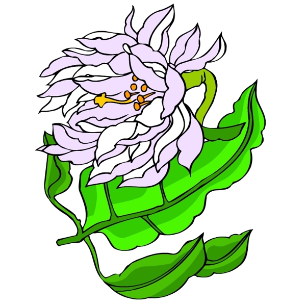 花卉古典插畫