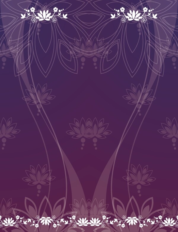 紫色莲花图片