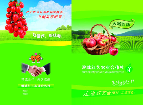 澄城红艺农业