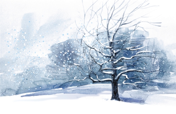雪9