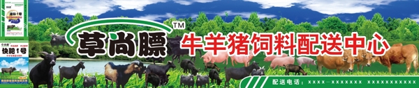草尚膘圖片