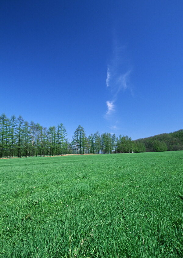 田園風(fēng)光