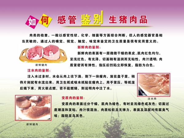 如何鑒別生肉圖片