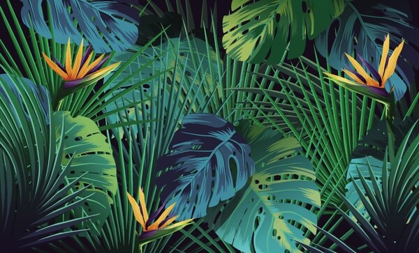 热带丛林