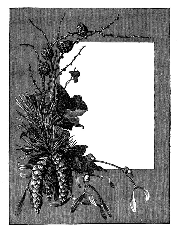 灰色植物花卉边框免抠psd透明素材