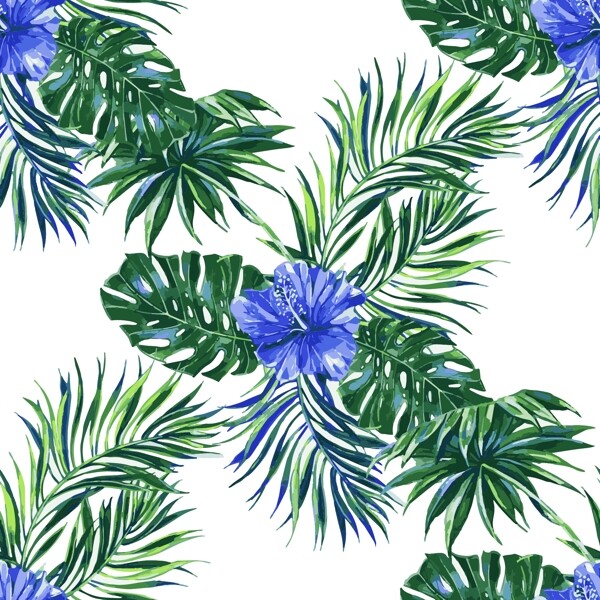 热带叶子蓝色扶桑花
