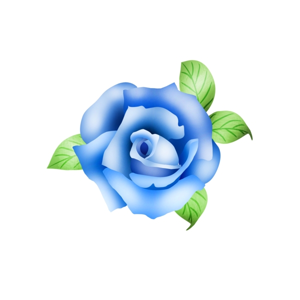 大气矢量手绘蓝色玫瑰花