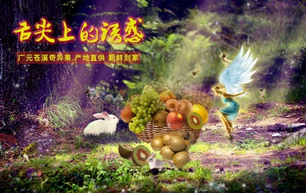 蒼溪奇異果