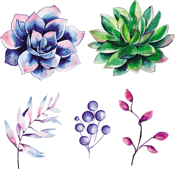 水彩花卉和葉子