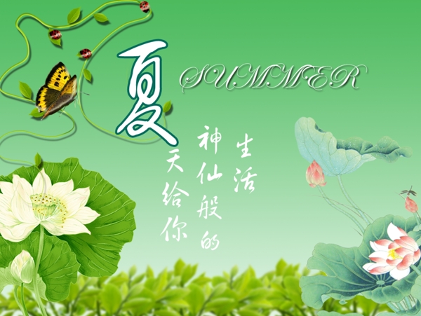 夏之荷花設(shè)計素材psd源文件