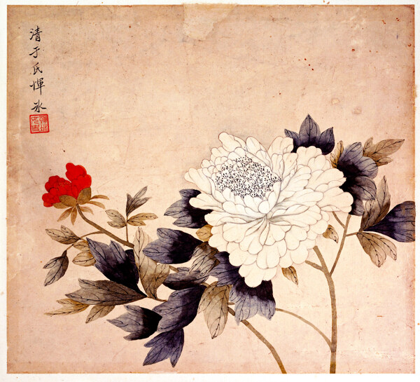 清代惲冰牡丹圖