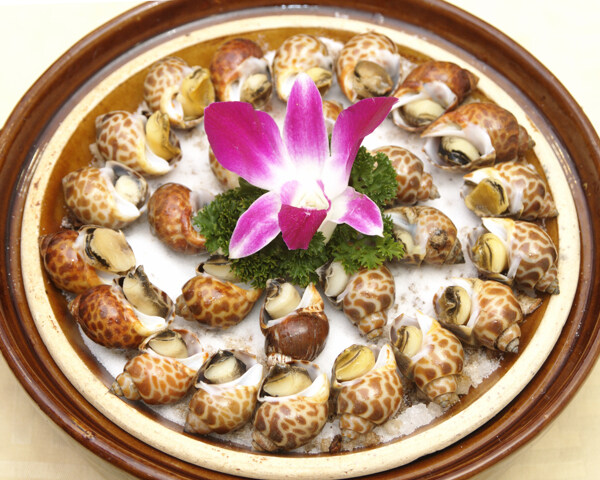 鹽焗花螺圖片