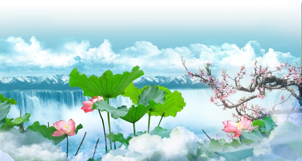 荷花白云