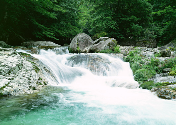 山水瀑布風(fēng)景綠林圖片