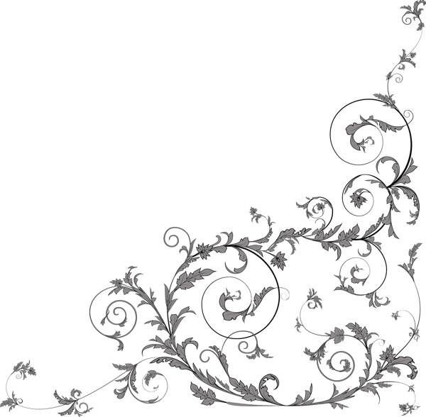 歐美花紋4406矢量EPS
