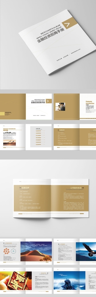 金色畫冊(cè)