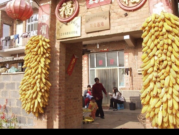 農(nóng)家小院圖片