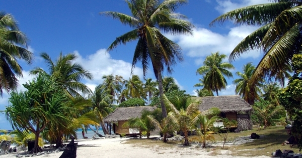 椰子树沙滩美景图片