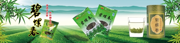 燈箱燈片
