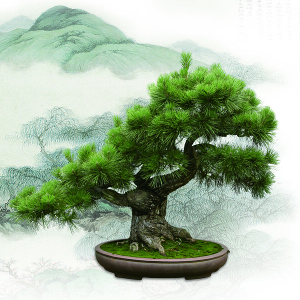 裝飾畫三聯(lián)畫