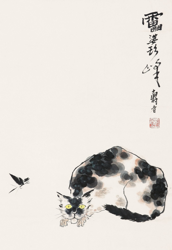 懶貓圖片