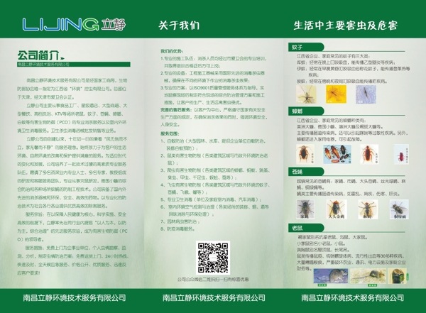 綠色宣傳單