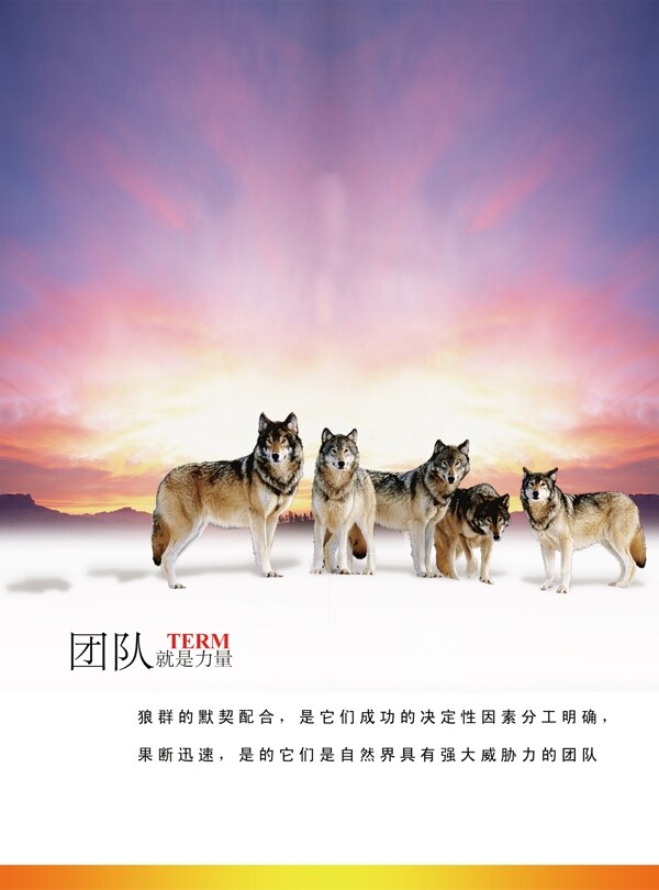 團(tuán)隊(duì)精神圖片
