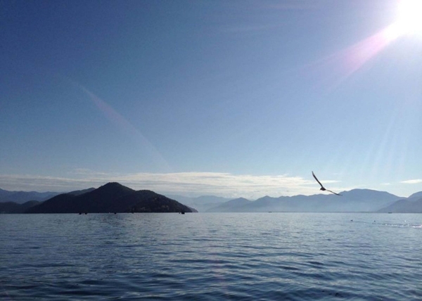 海闊天空?qǐng)D片