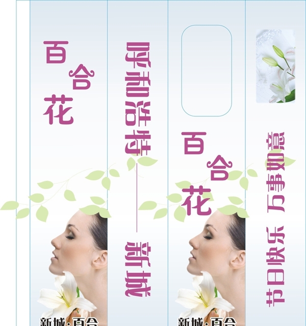 新城百合花包裝圖片