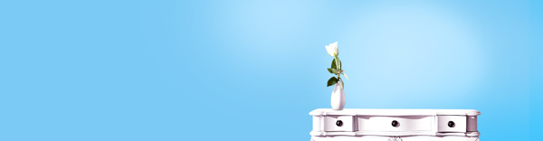 淘寶清新banner