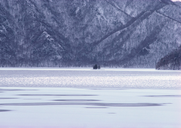 冬季樹木河流風景