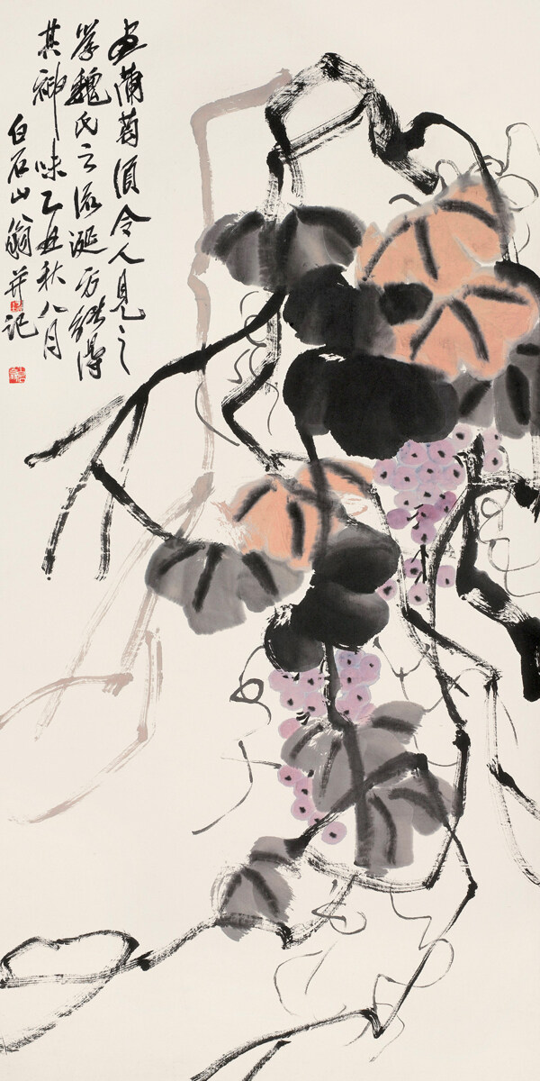 葡萄圖片
