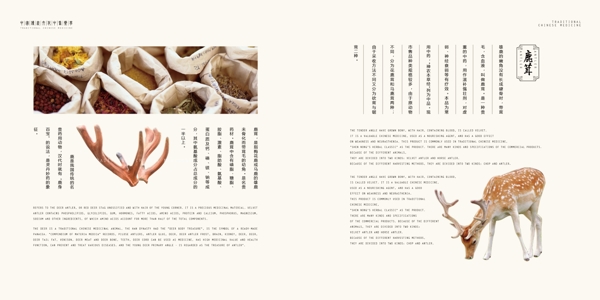 中國風(fēng)中式中醫(yī)醫(yī)藥傳統(tǒng)文化畫冊