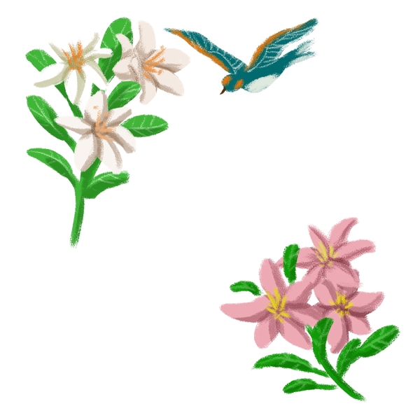 春夏季节花鸟边框之百合花和飞鸟