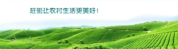 農(nóng)業(yè)banner