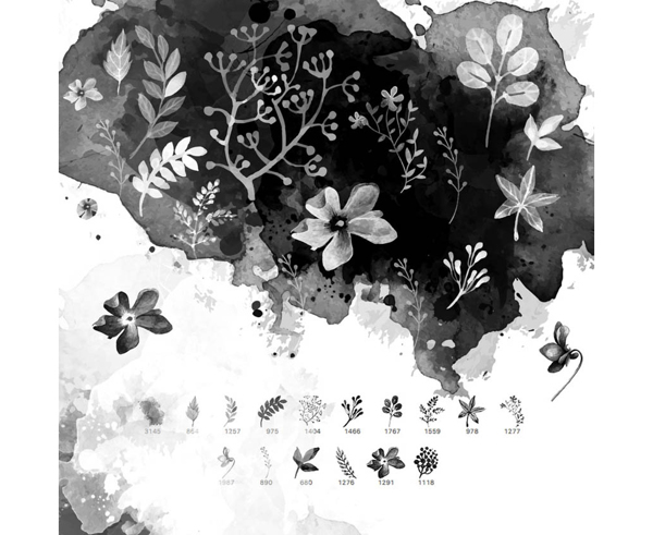 16种水彩花朵和藤叶PS笔刷